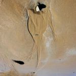 Traces 49