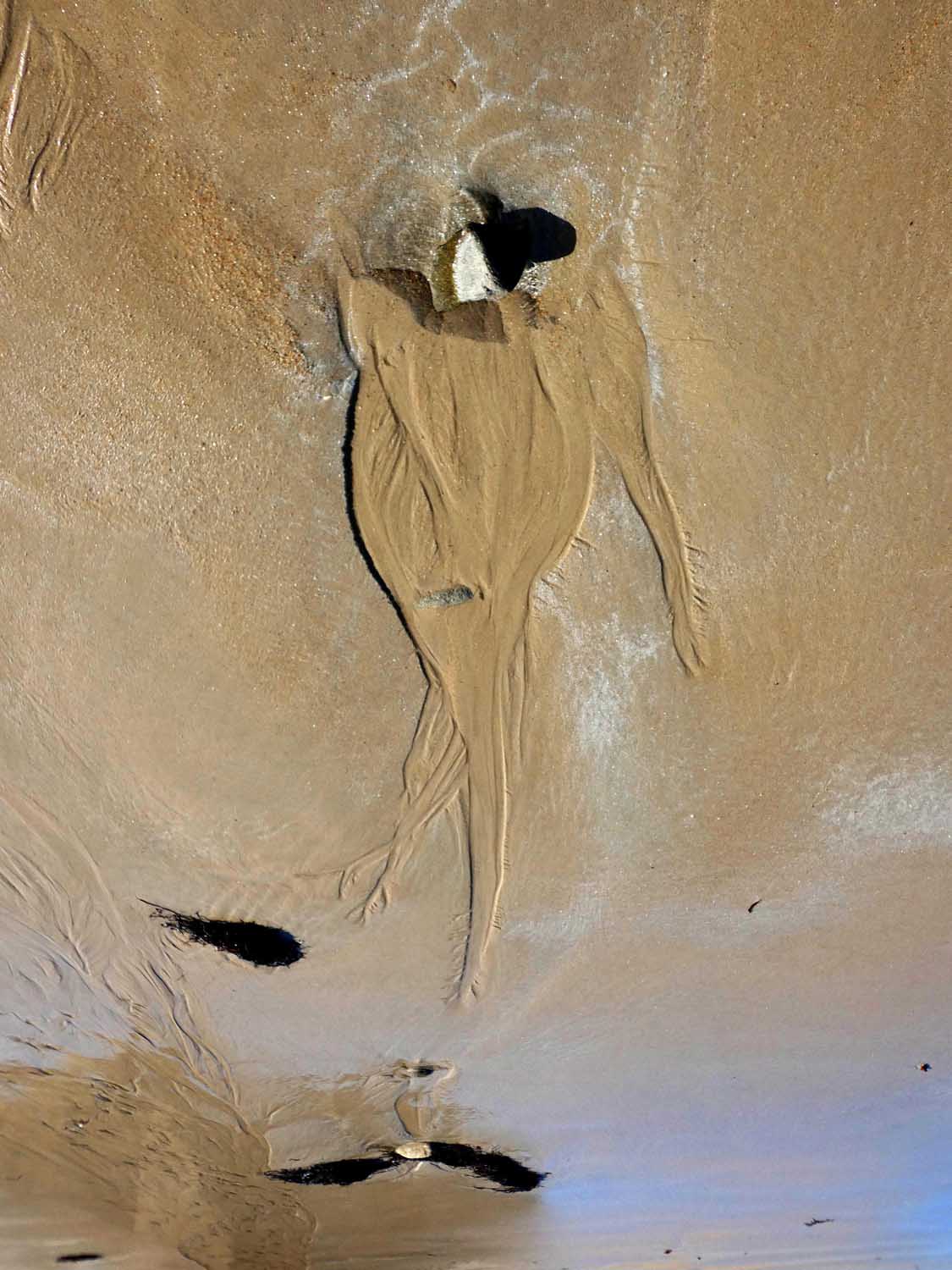 traces-49