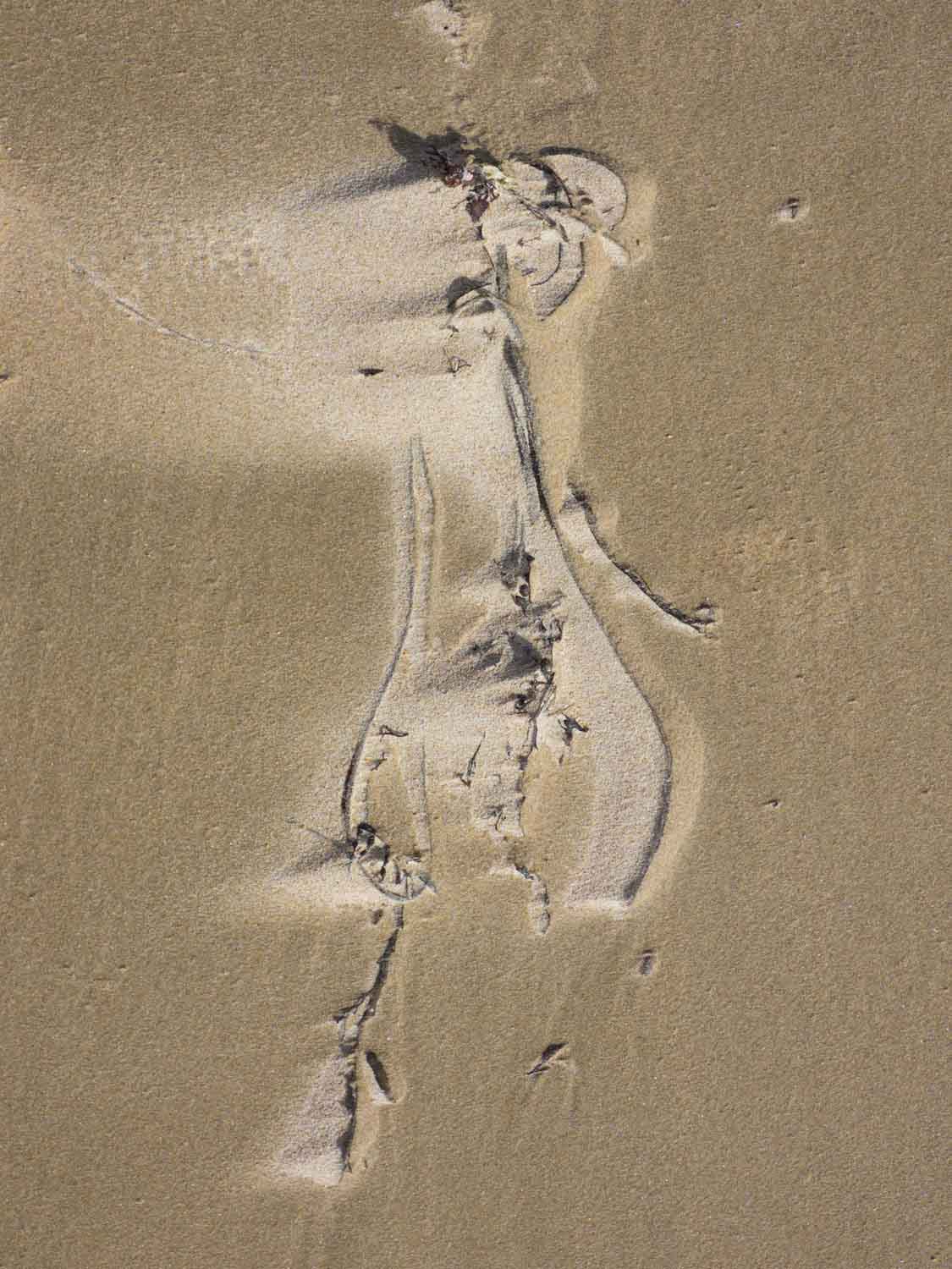 traces-55