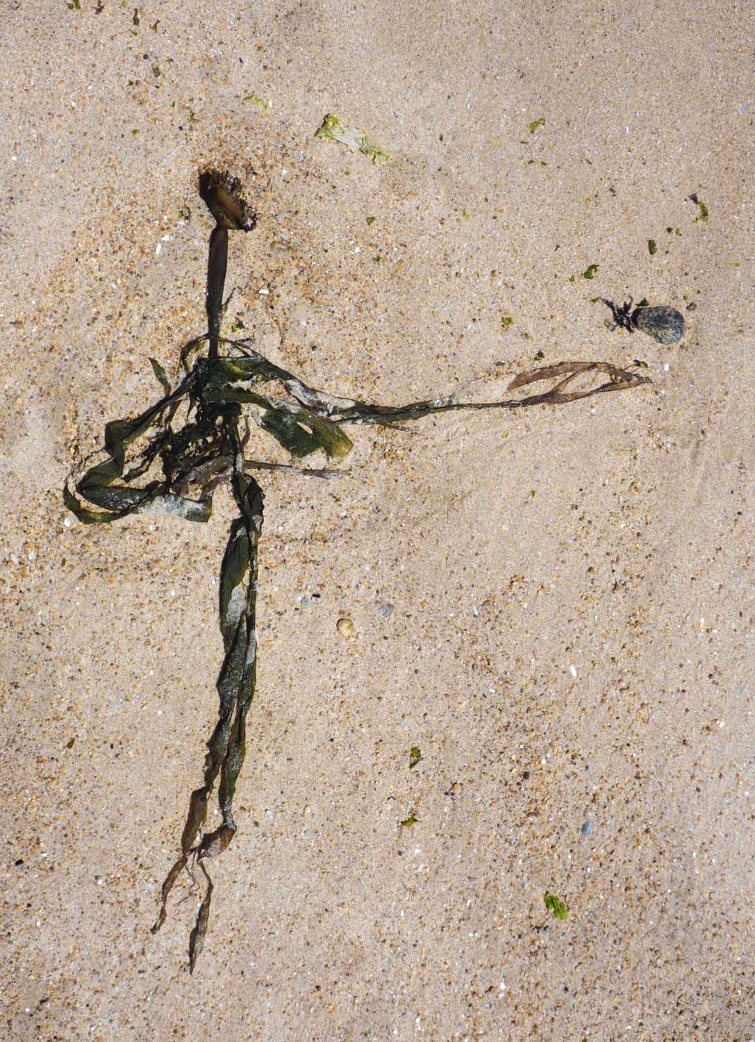 traces-76