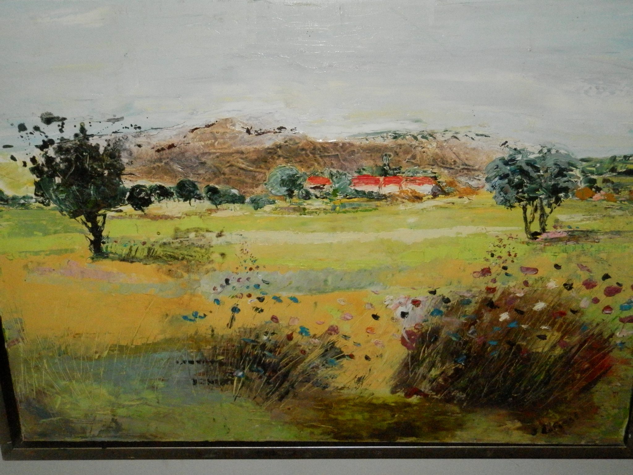 paysage-l-ete-dans-le-sud