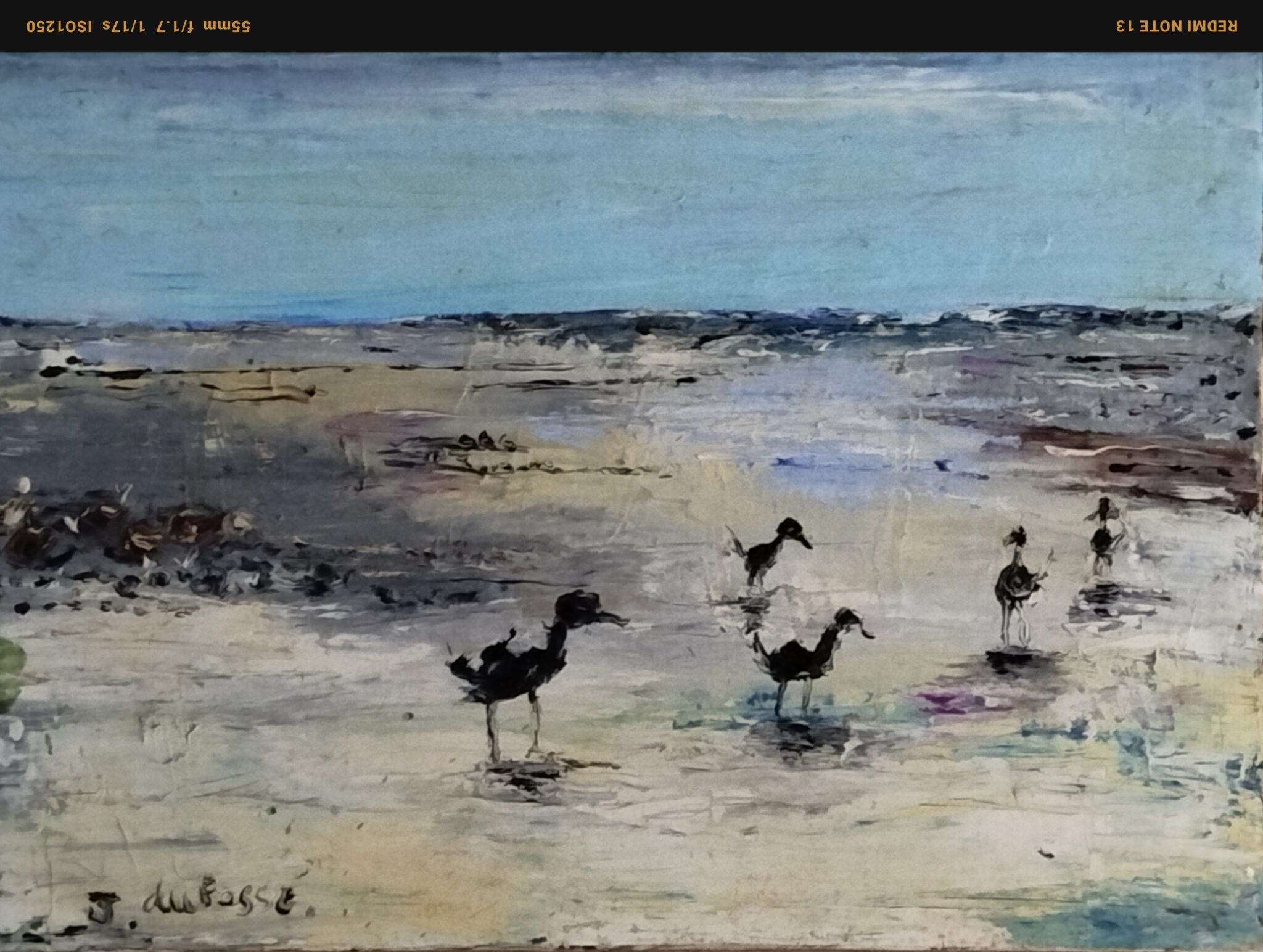 maree-basse-5