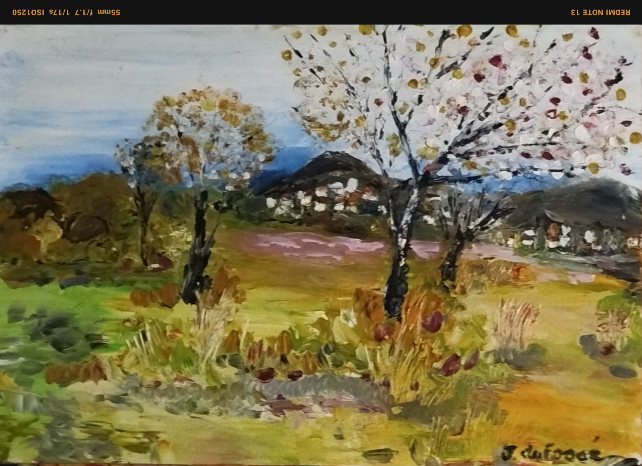 paysage-du-sud