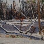 les marais l hiver par DUFOSSE JEROME