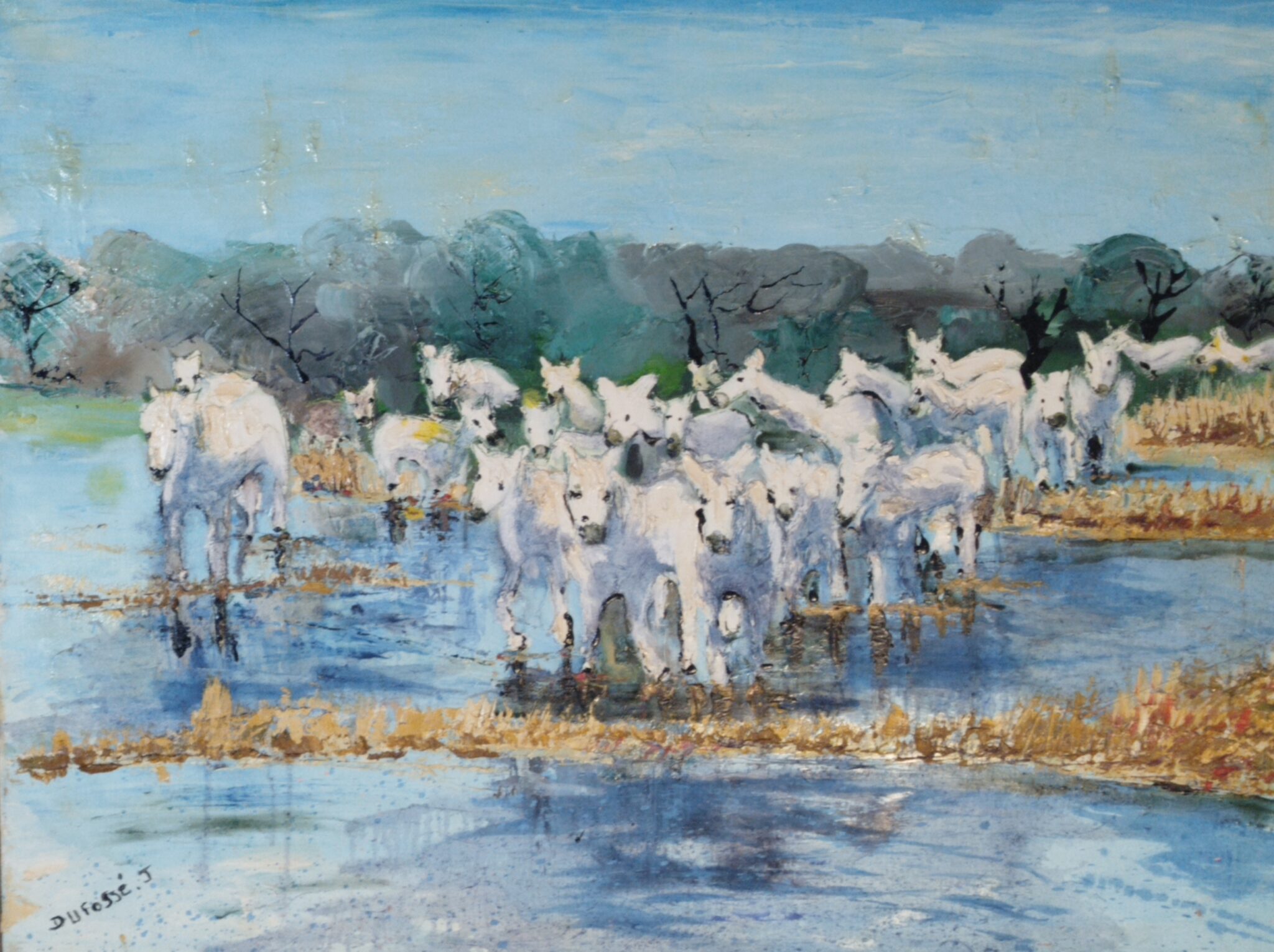 les-chevaux-blancs