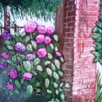 les hortensias