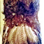 sculptureplum1REC par Mari BONAIL