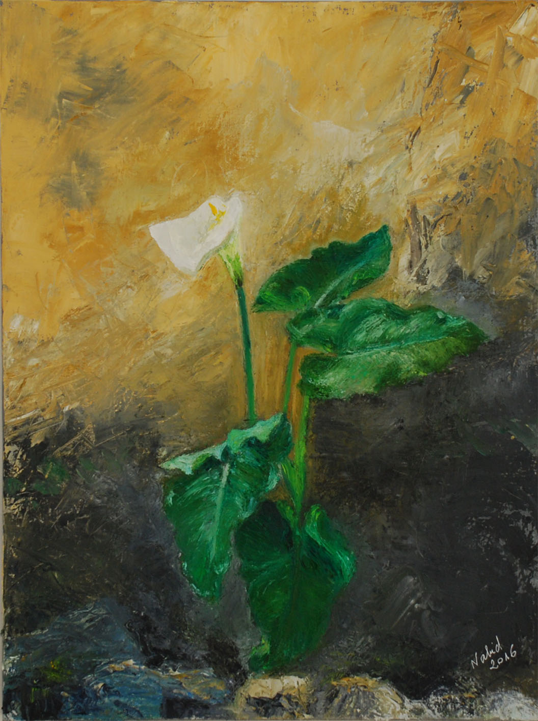 arum
