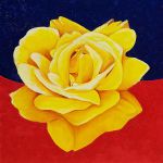 Rose jaune