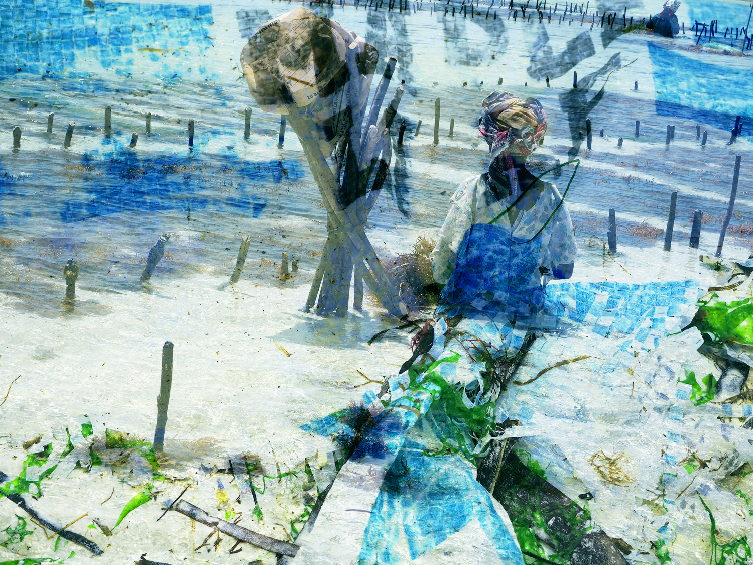 bluecheckerzanzibar
