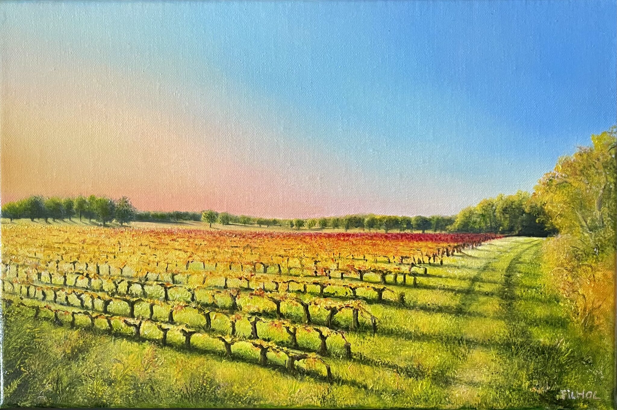 les-vignes-dautomne-a-vacquiers