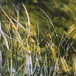 Les herbes