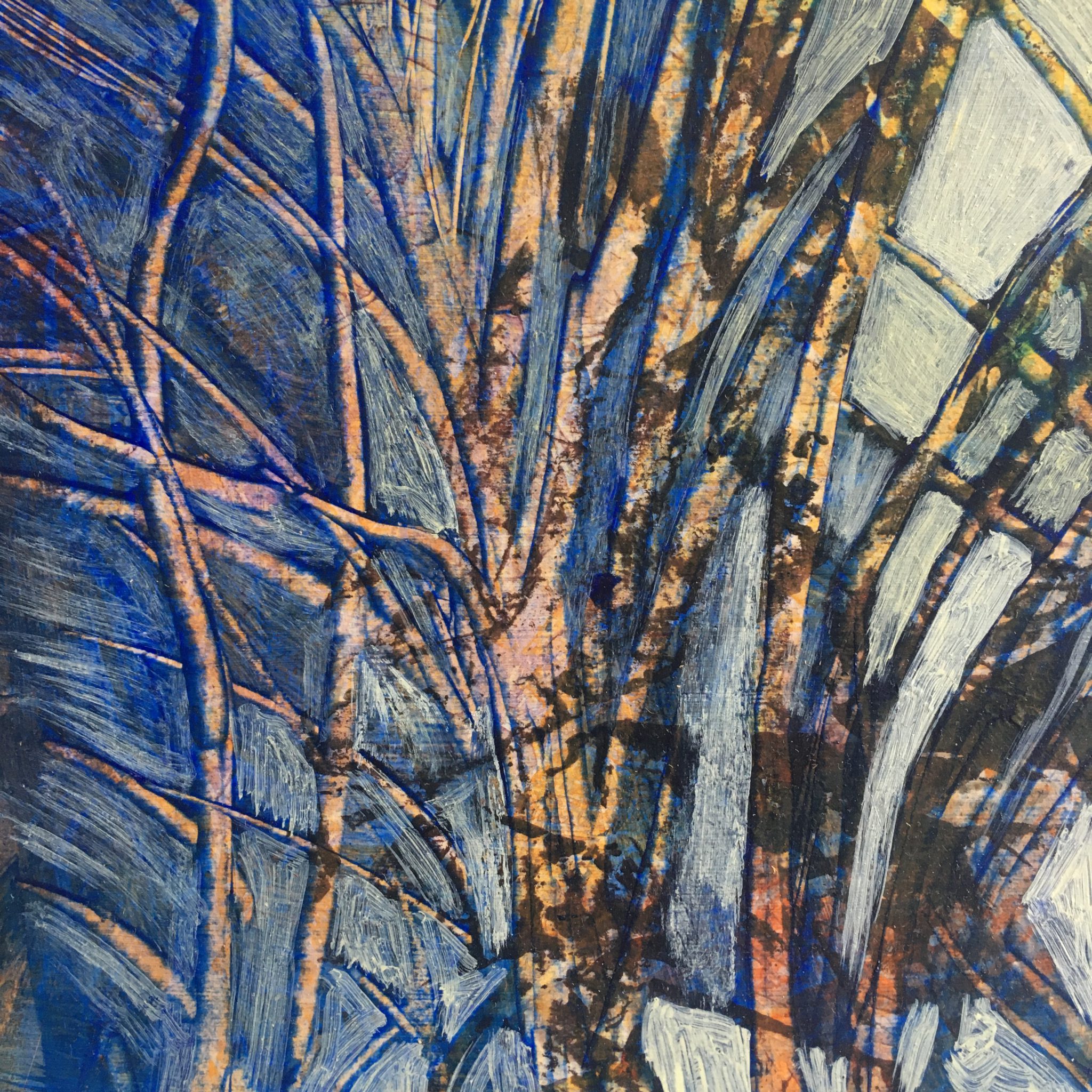 paysage-bleu