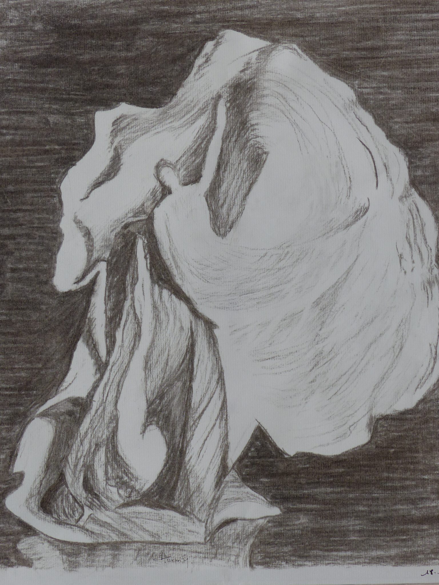 p1060007
