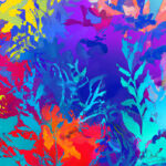 Amphitrite