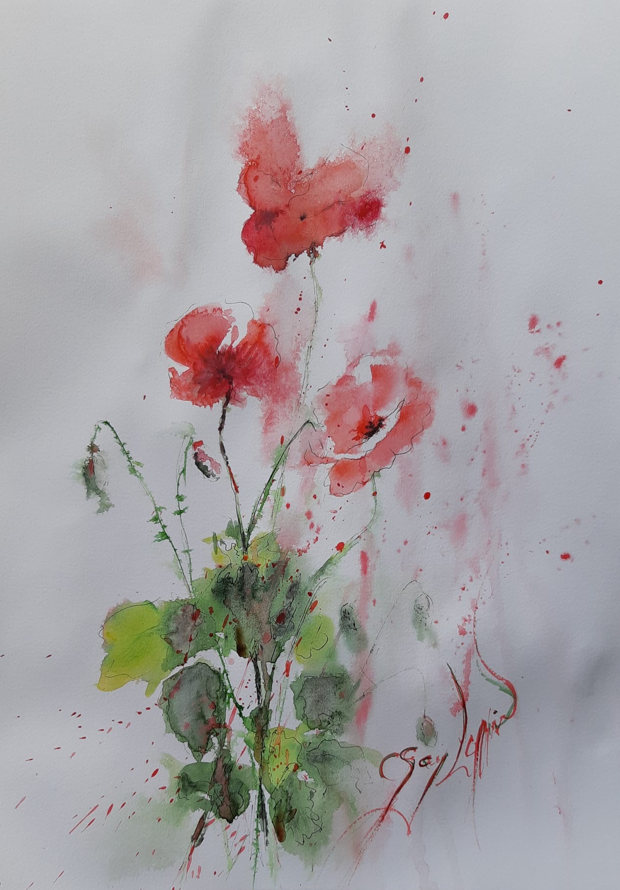 cecile-gay-loppinet-aquarelle-en-poesie-coquelicots-a3