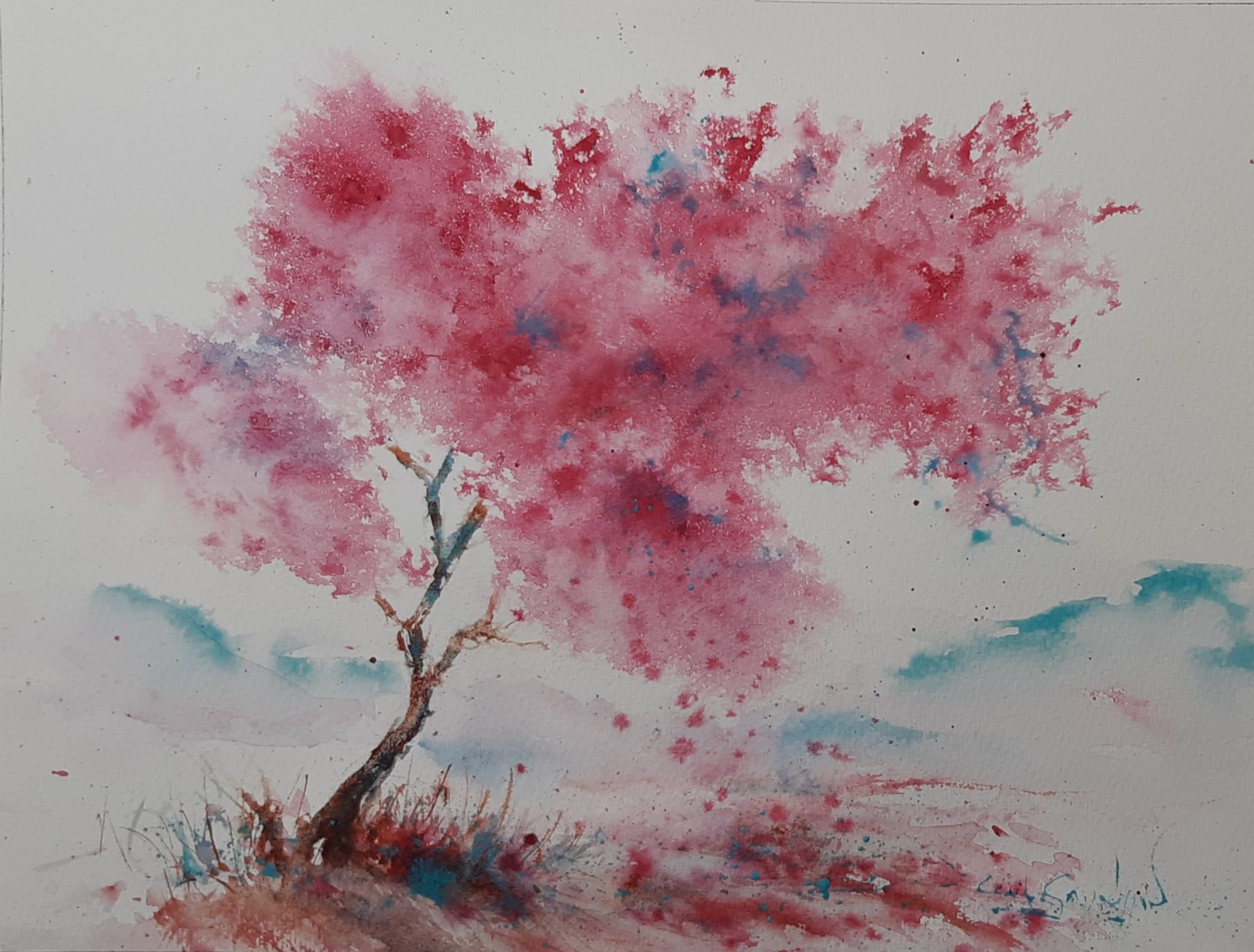 cecile-gay-loppinet-les-monts-bleus-du-lac-sakura