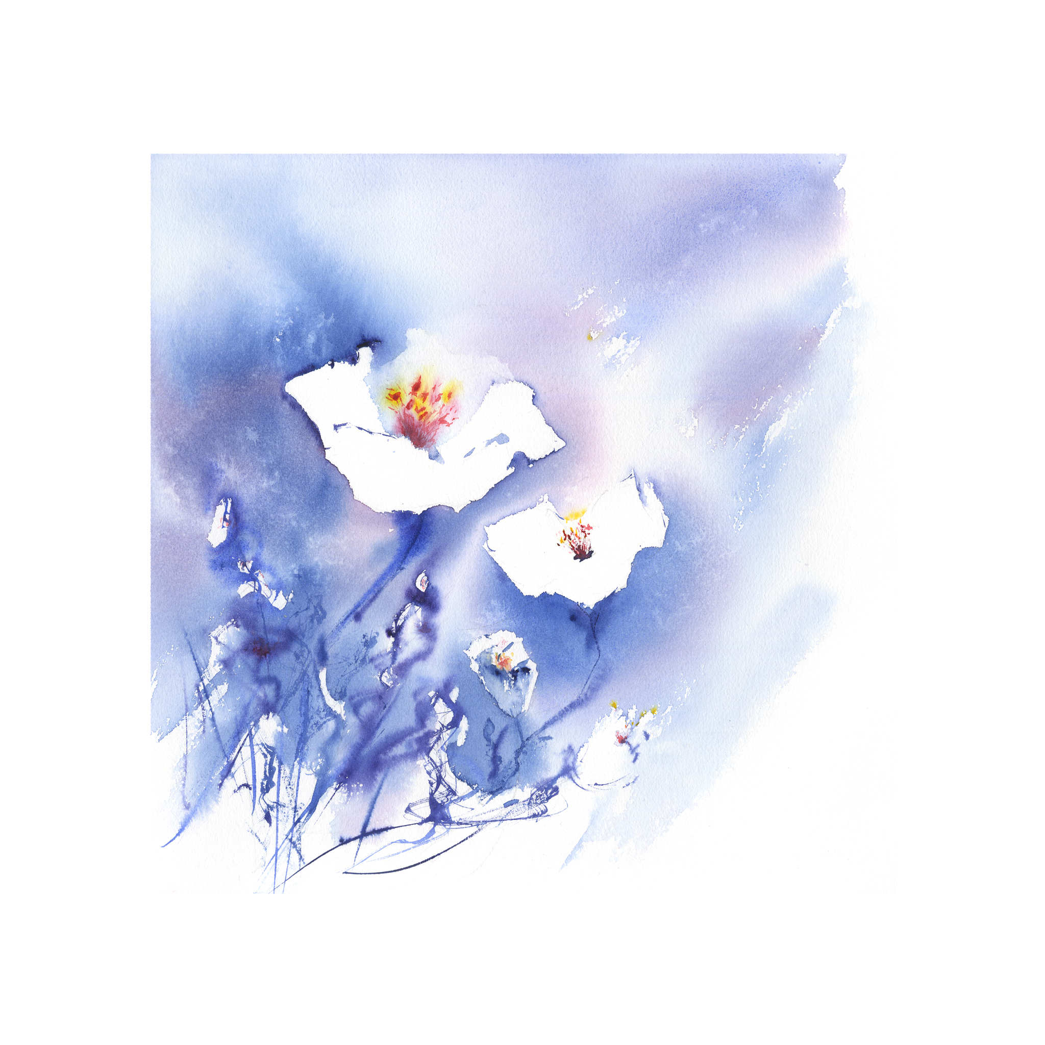 blanc-silence-50x50-web