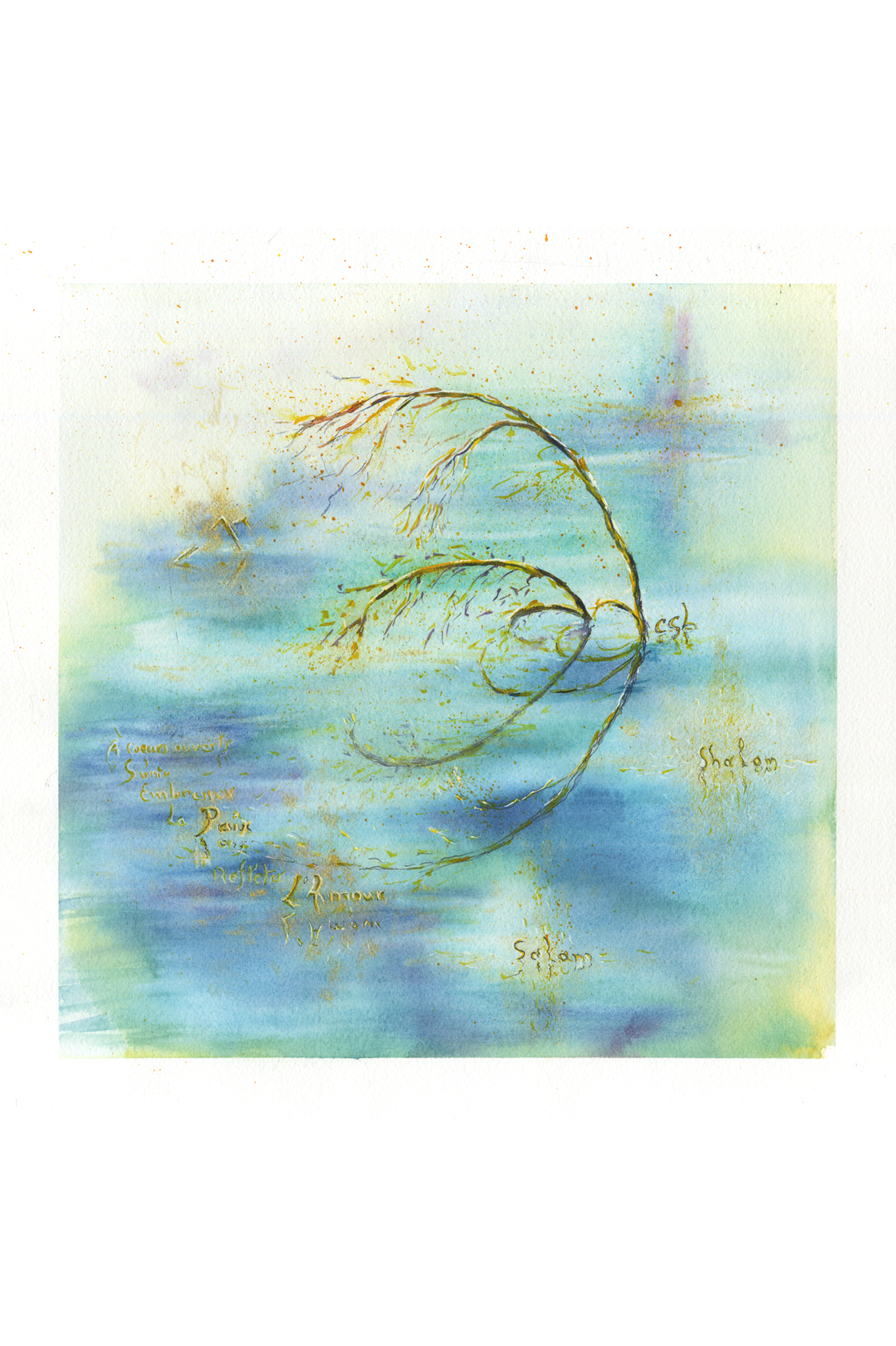 message-de-paix-10x15-web