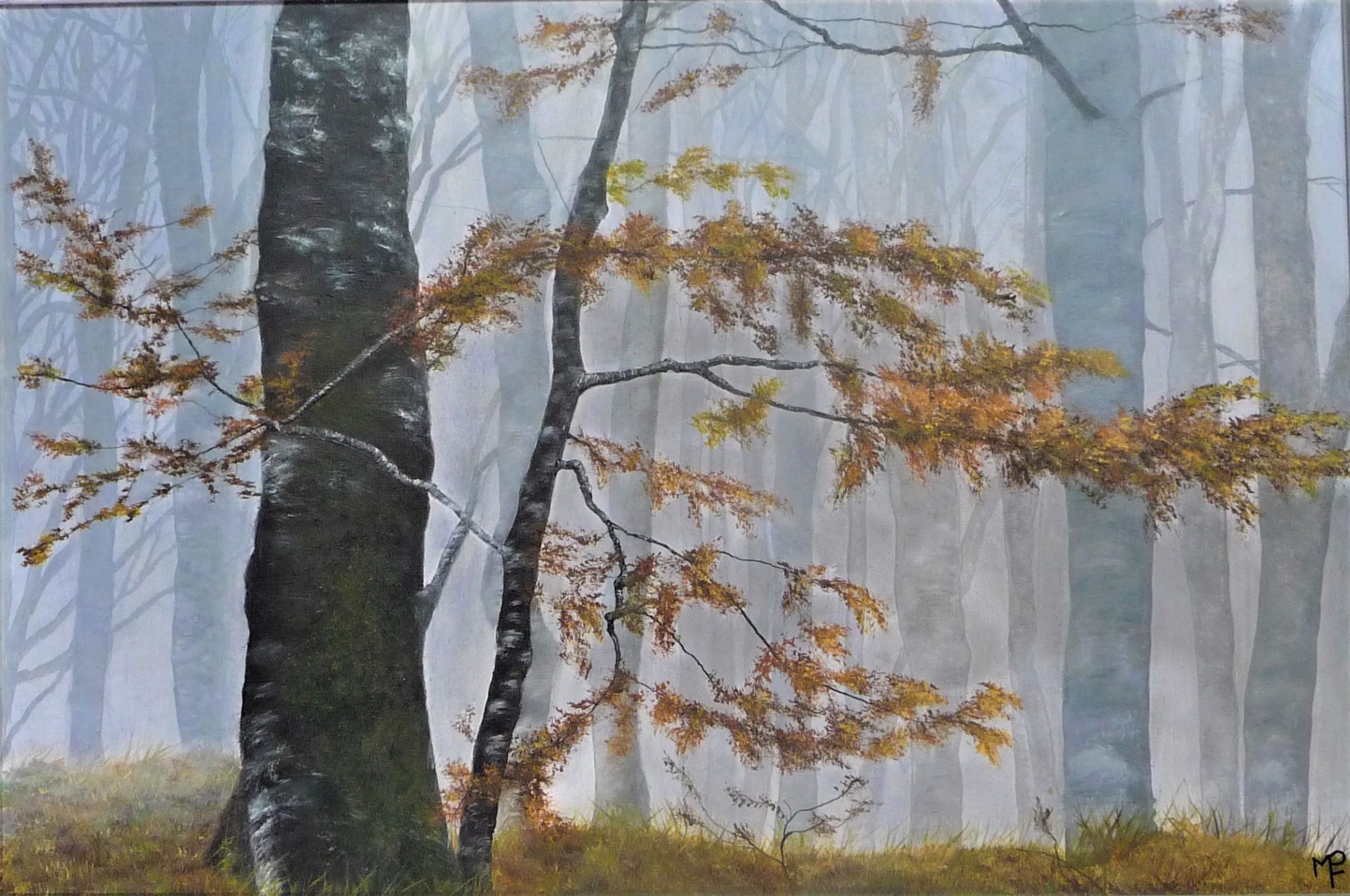 brume-matinale-doctobre