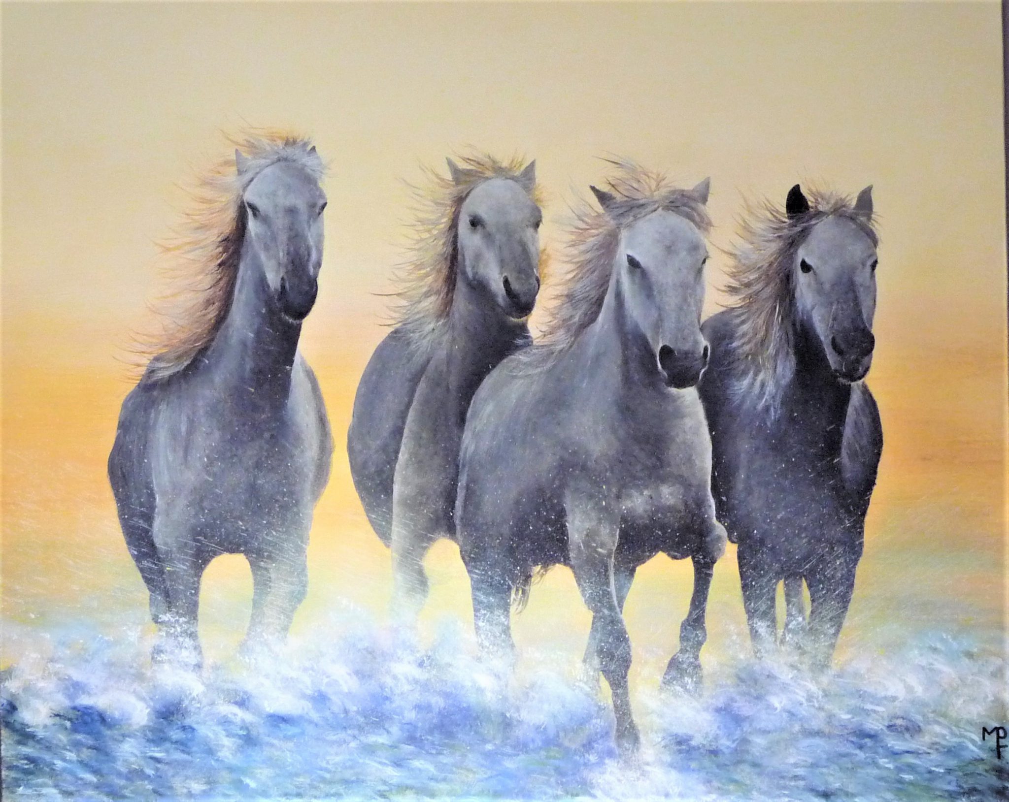 cavalcade-camarguaise