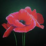 Comme un p\'tit coquelicot