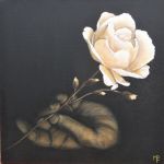 La rose d\'Or