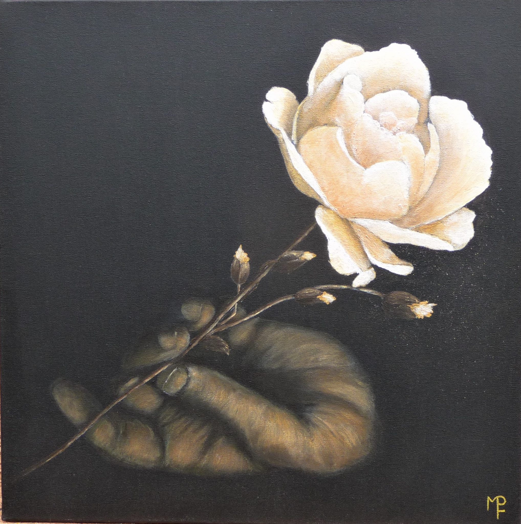 la-rose-dor
