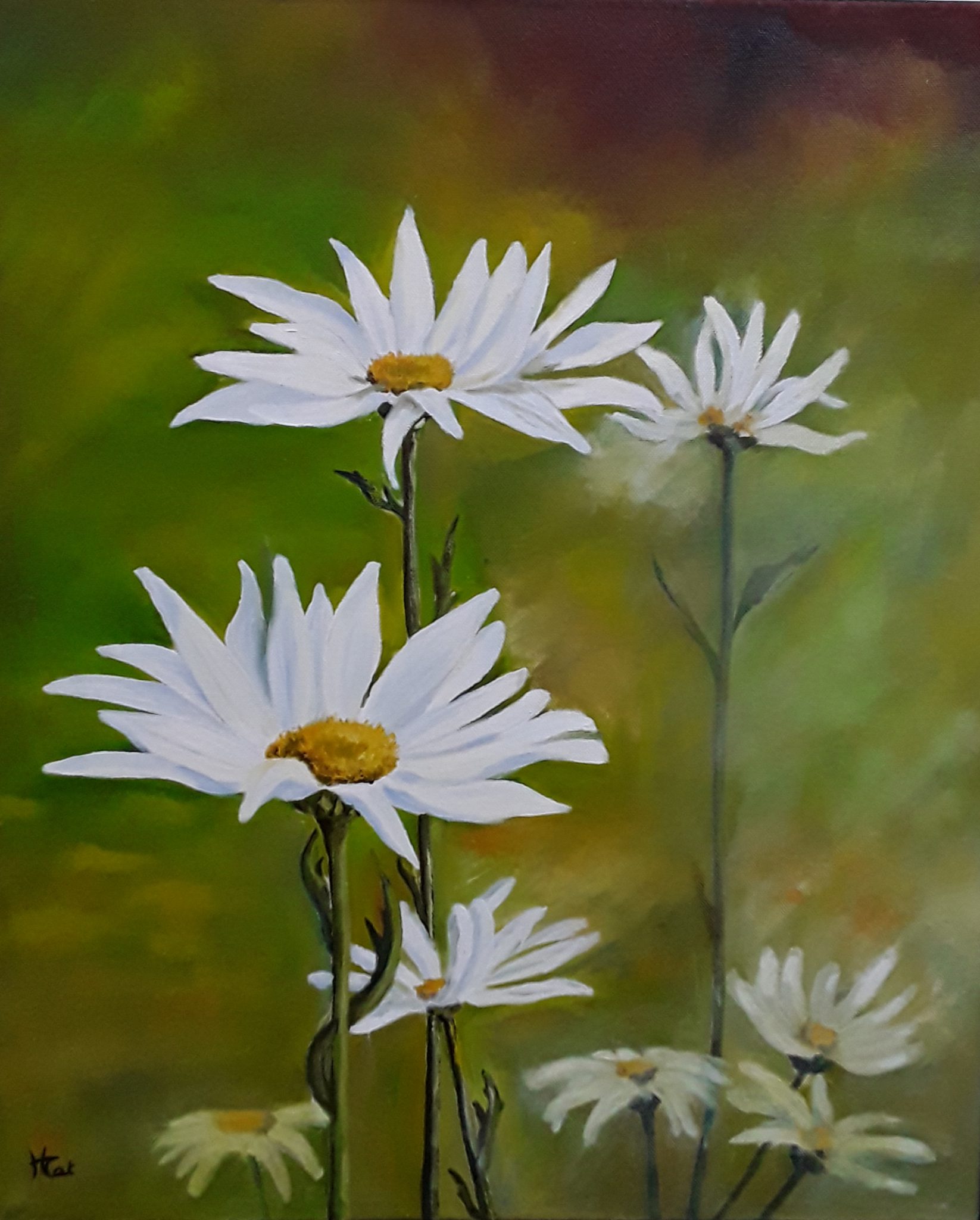 marguerites-3