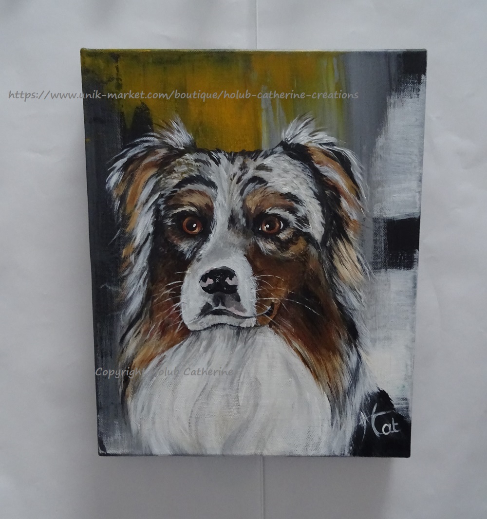 aussie-bleu-merle