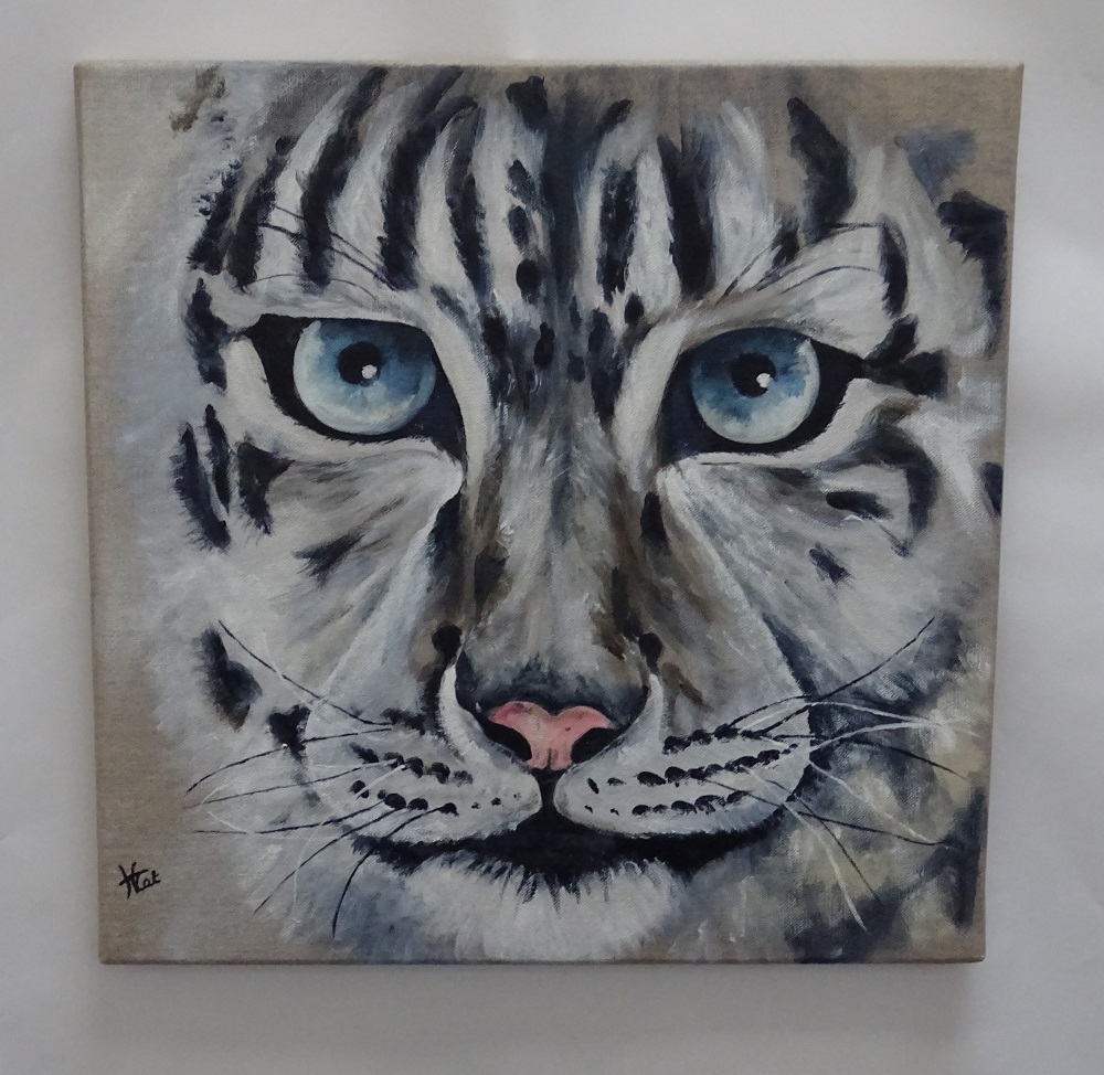 le-regard