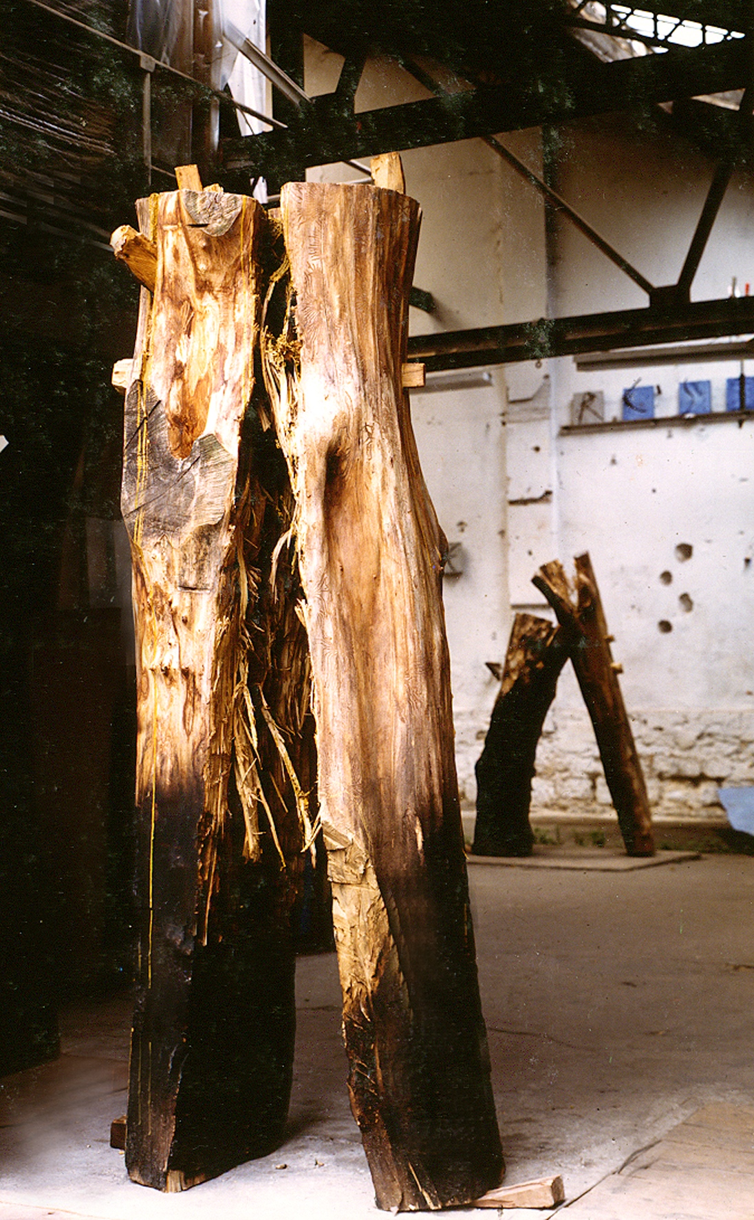 arbre-tango-ii-1997