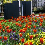 les Tournesols 1986