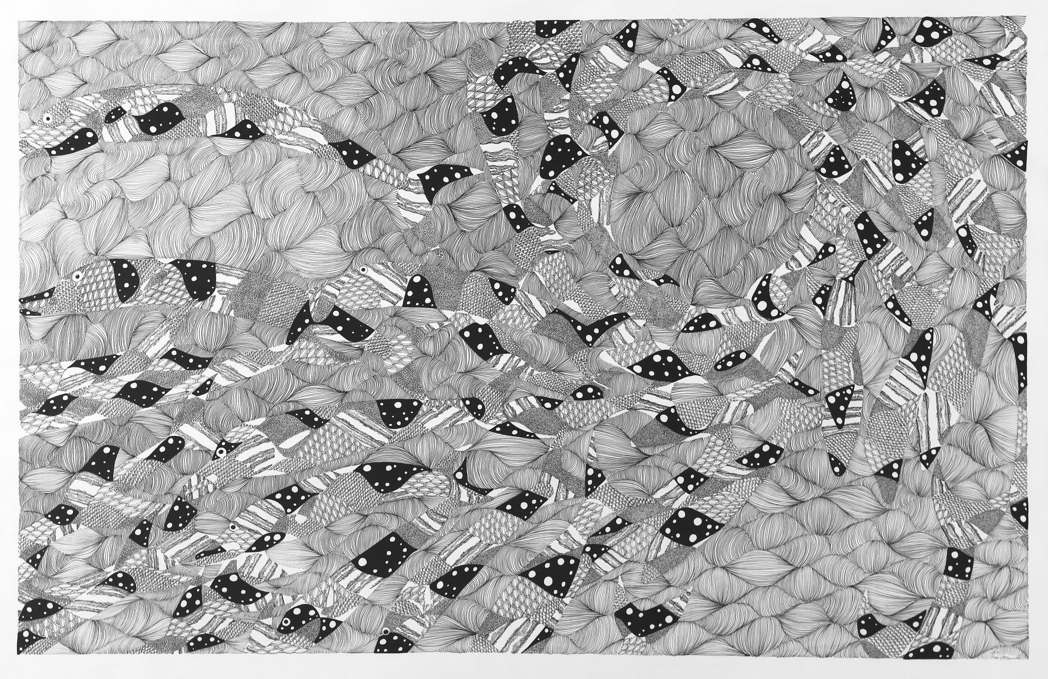 banc-de-poisson