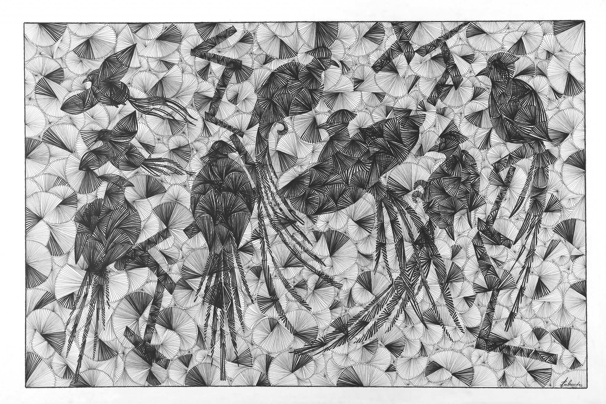 oiseaux-3