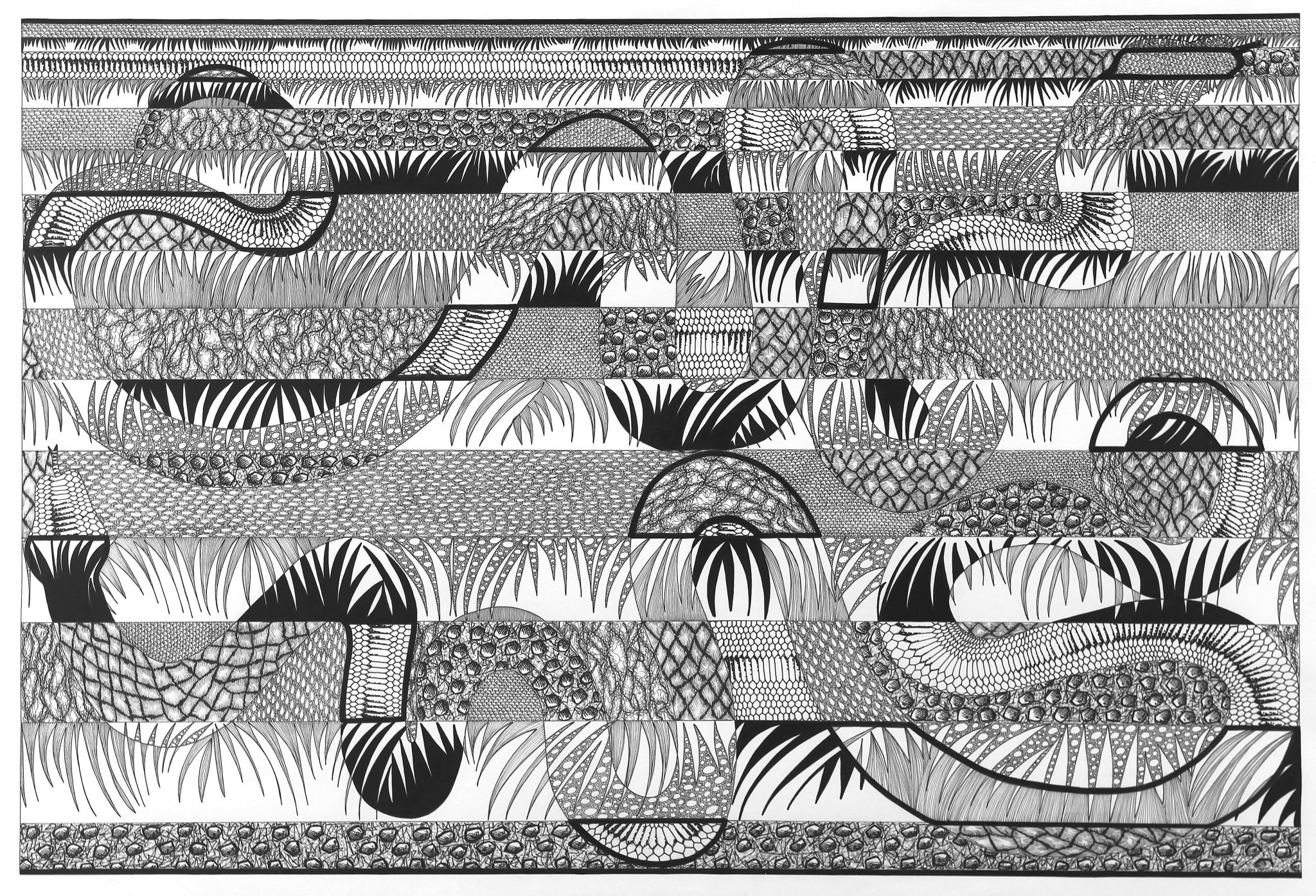 serpents-dans-lherbe