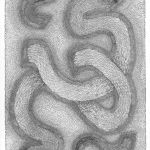Serpents par Ambraude
