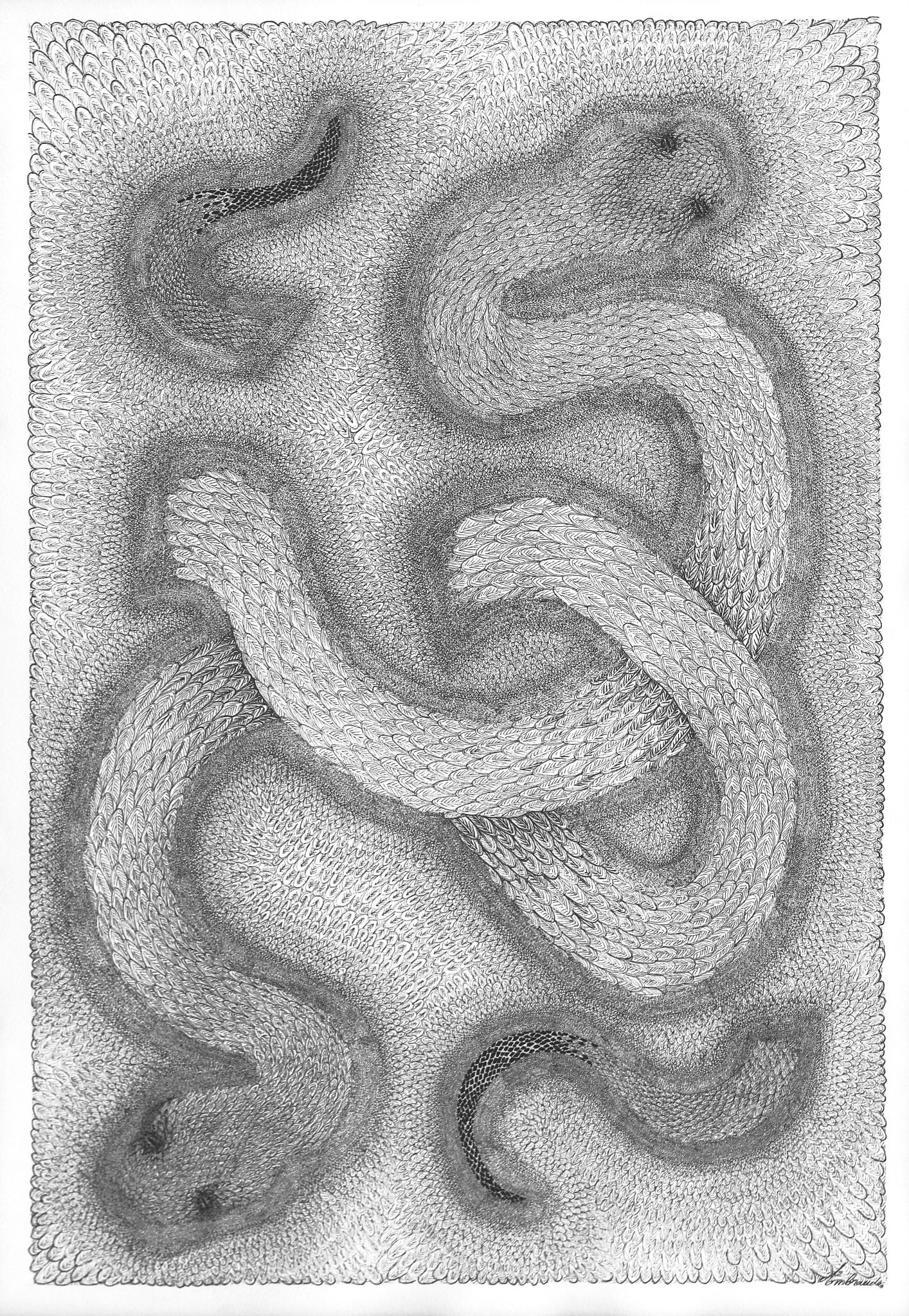 serpents