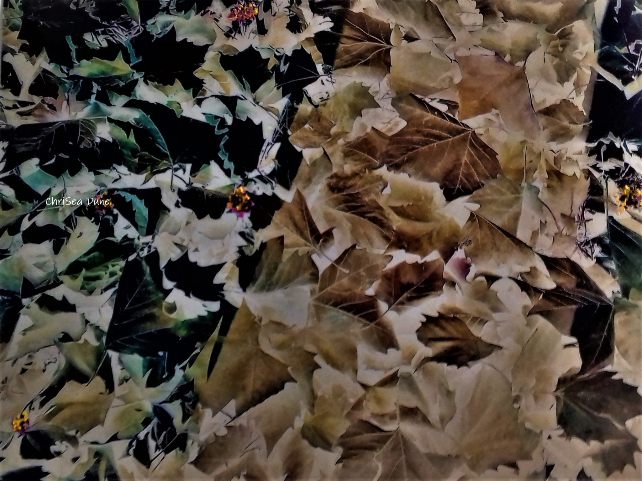 feuilles-mortes-2