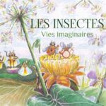 Les insectes par Violaine TREGARD