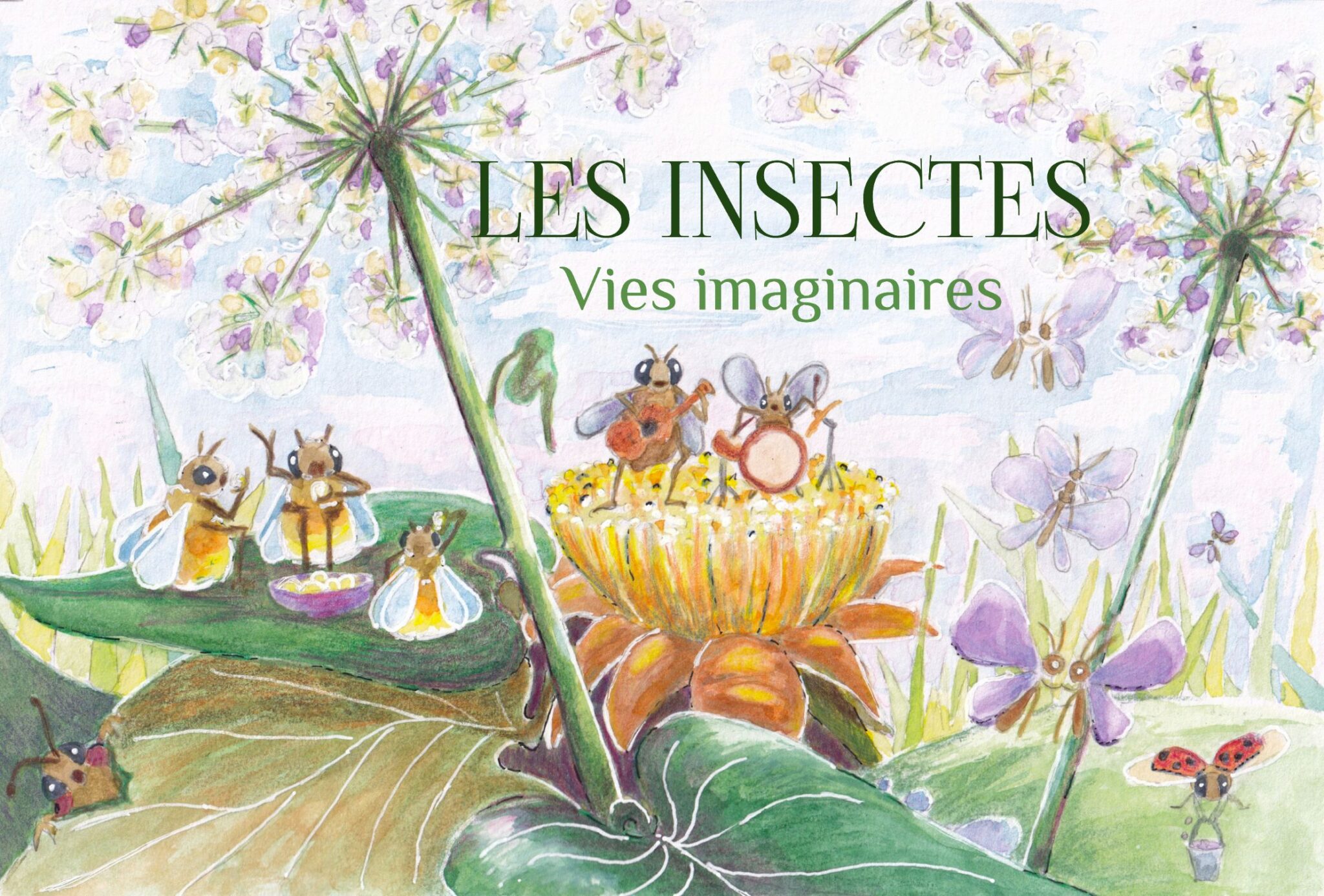les-insectes