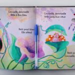 Coccinelle demoiselle par Violaine TREGARD