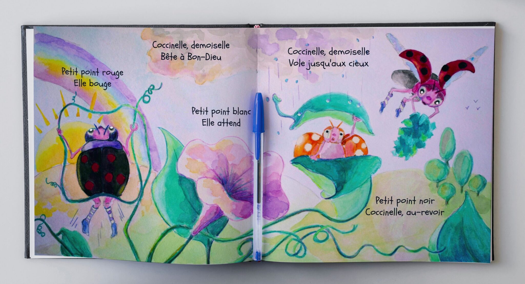 coccinelle-demoiselle-2