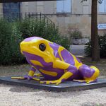 Poison dart frog