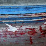 Mouette et vieux navire