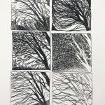 Variations