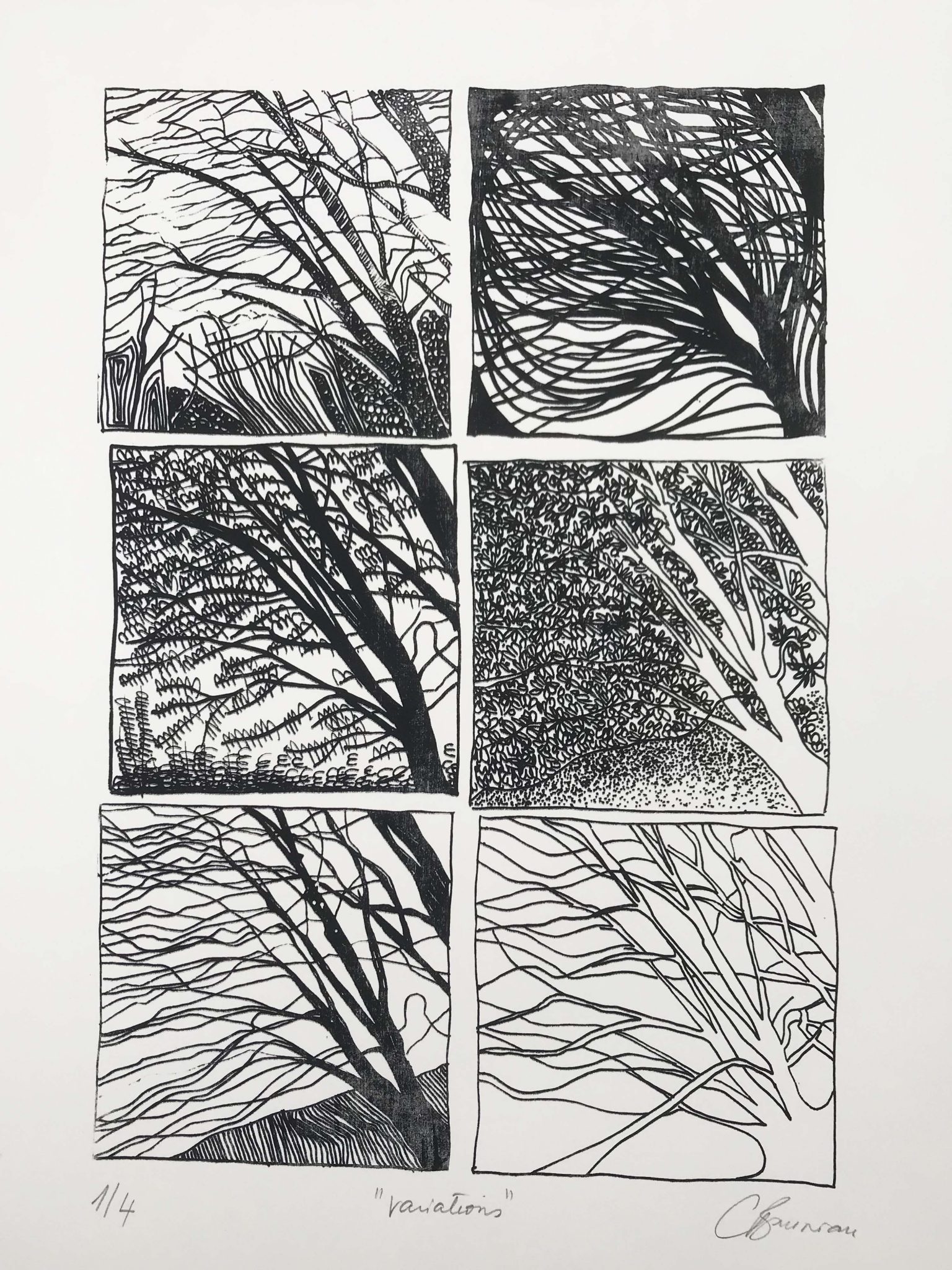 variations-5