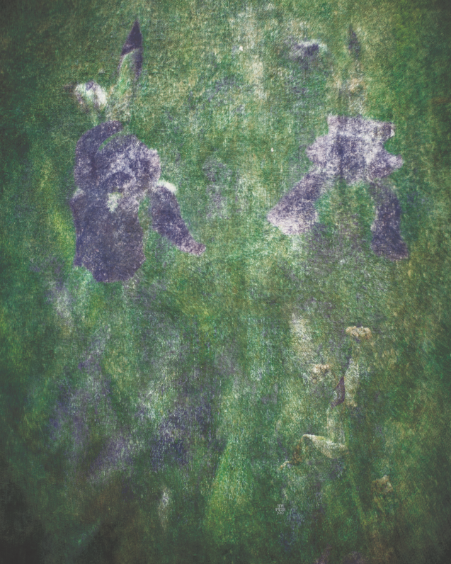 blue-iris-2021