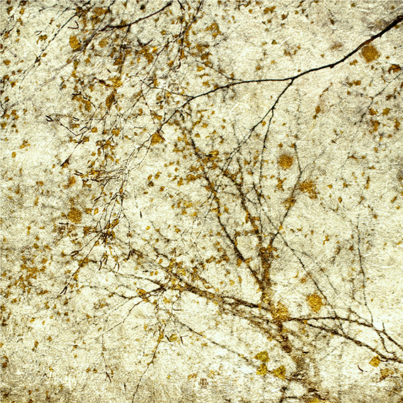 bouleaux-triptyque-ii-2018