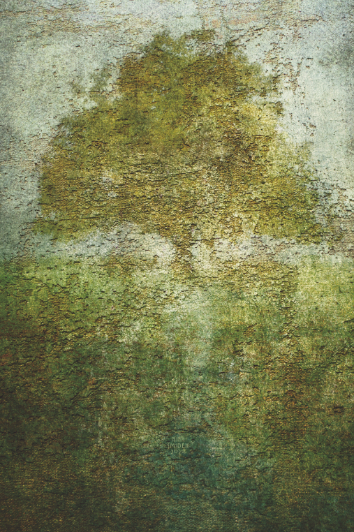 arbre-dans-la-brume-2020
